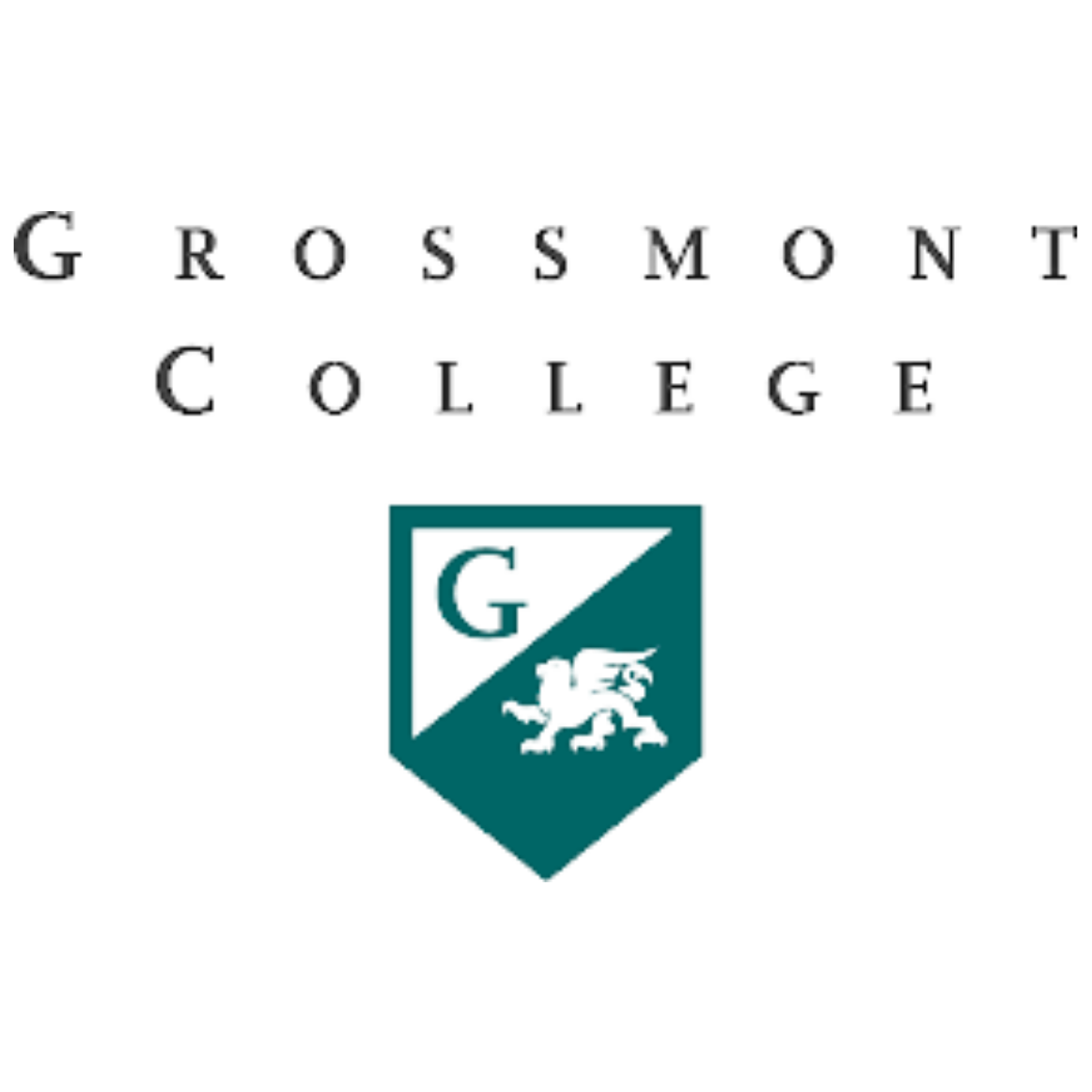 Emerged Visa Consultancy OPC