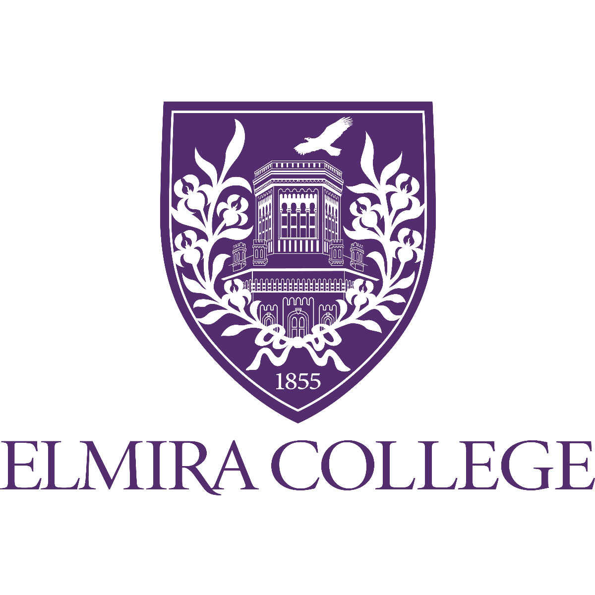 Emerged Visa Consultancy OPC