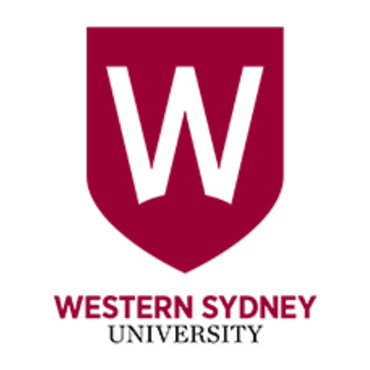 Emerged Visa Consultancy OPC