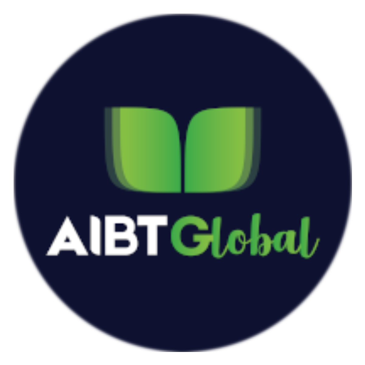 Emerged Visa Consultancy OPC