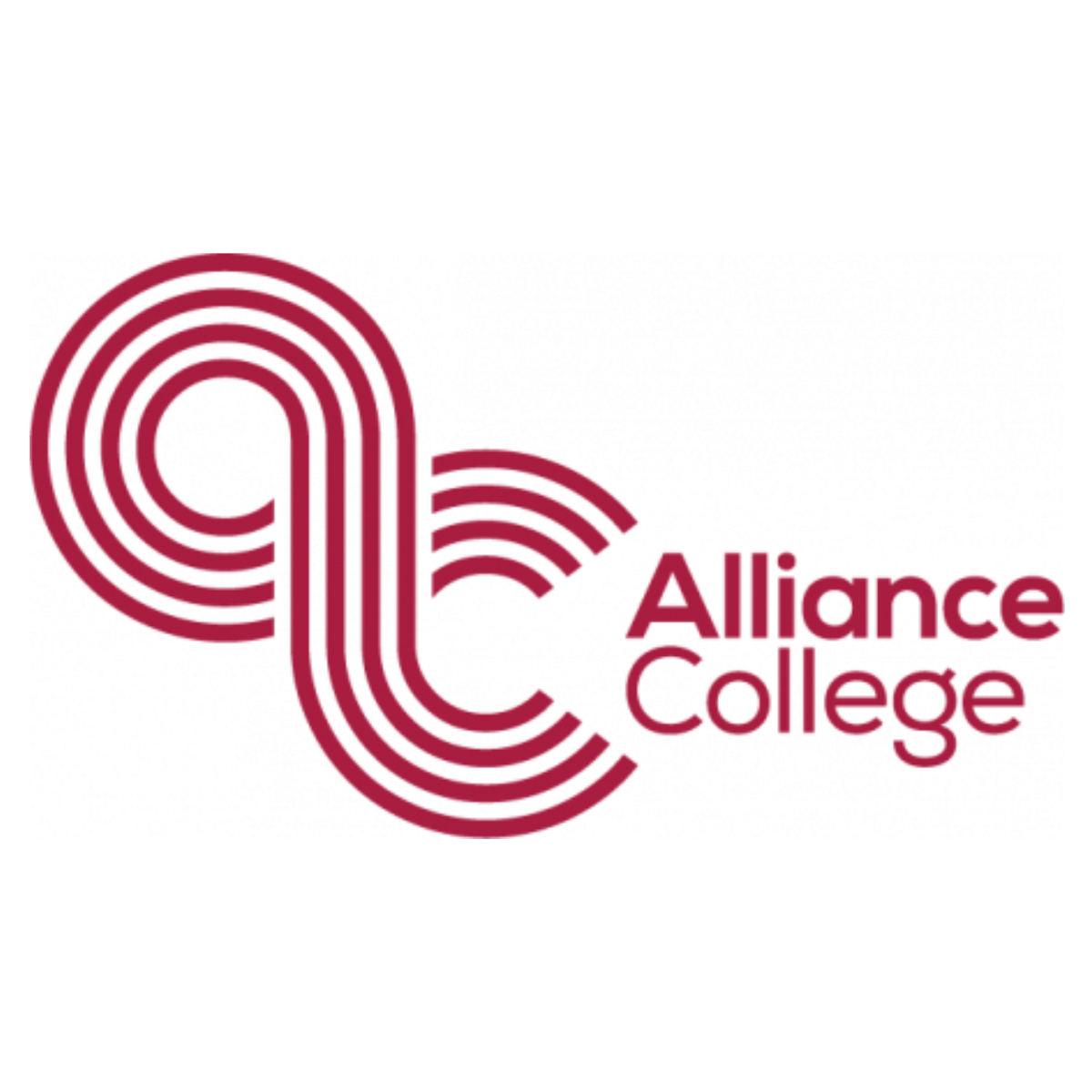 Emerged Visa Consultancy OPC