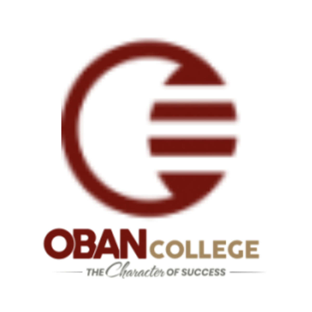 Emerged Visa Consultancy OPC