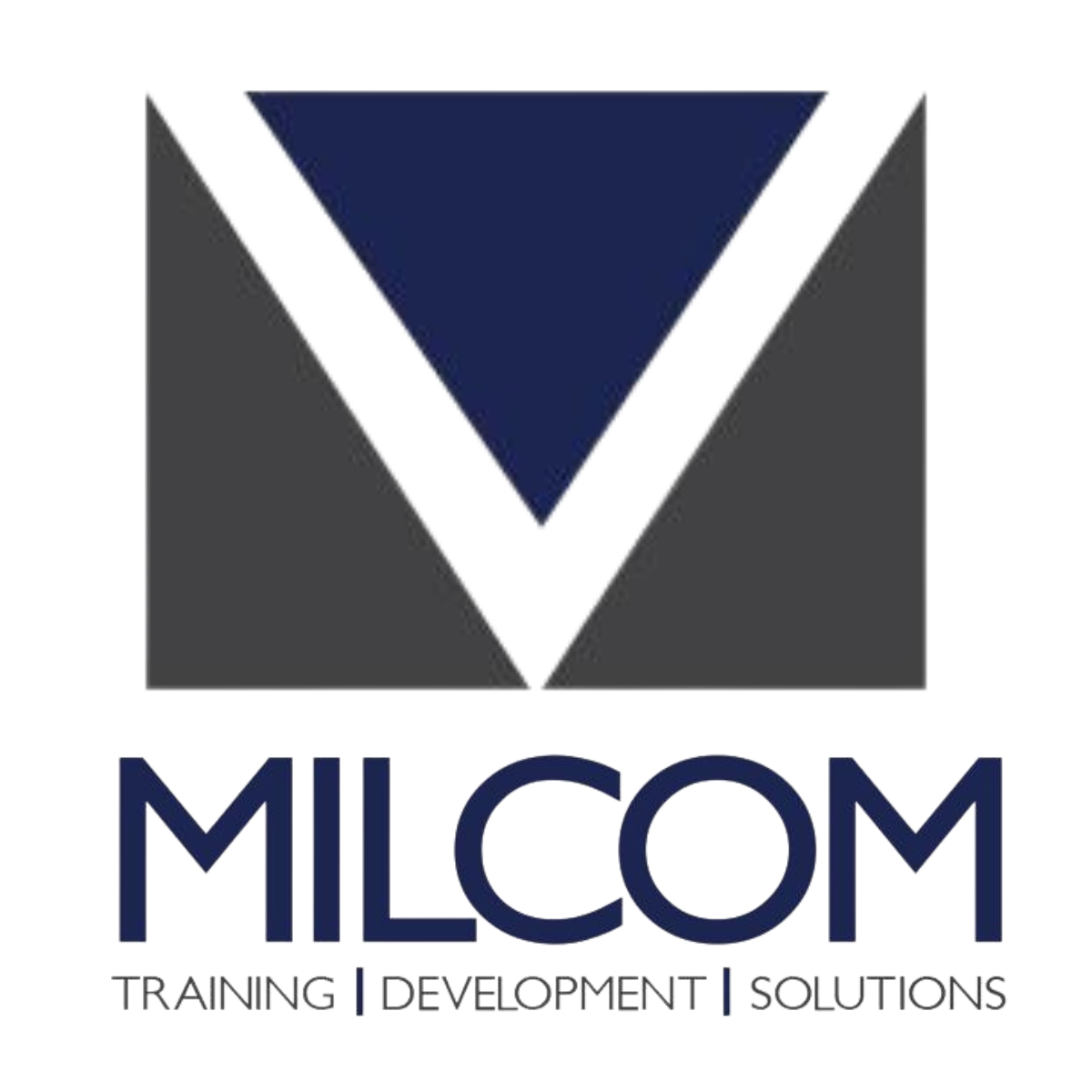 Emerged Visa Consultancy OPC