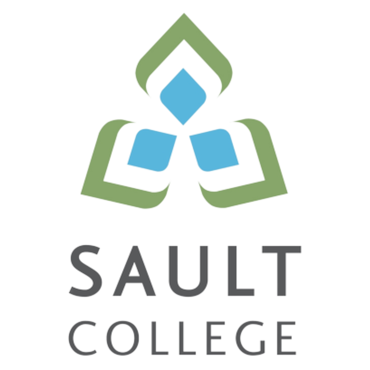 Emerged Visa Consultancy OPC