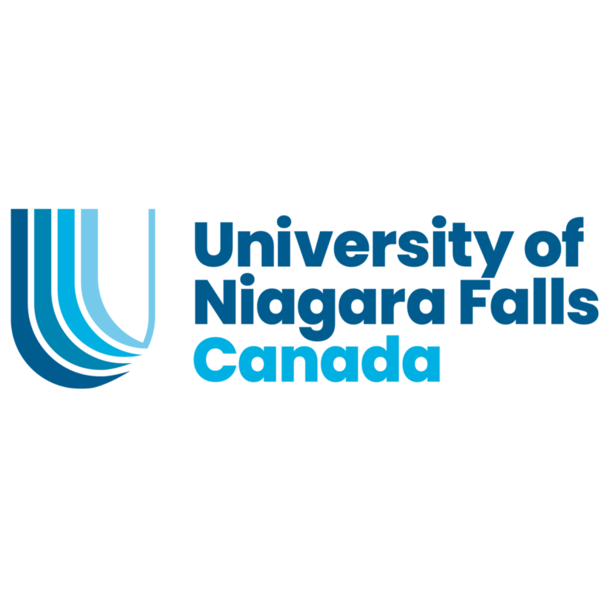 Emerged Visa Consultancy OPC