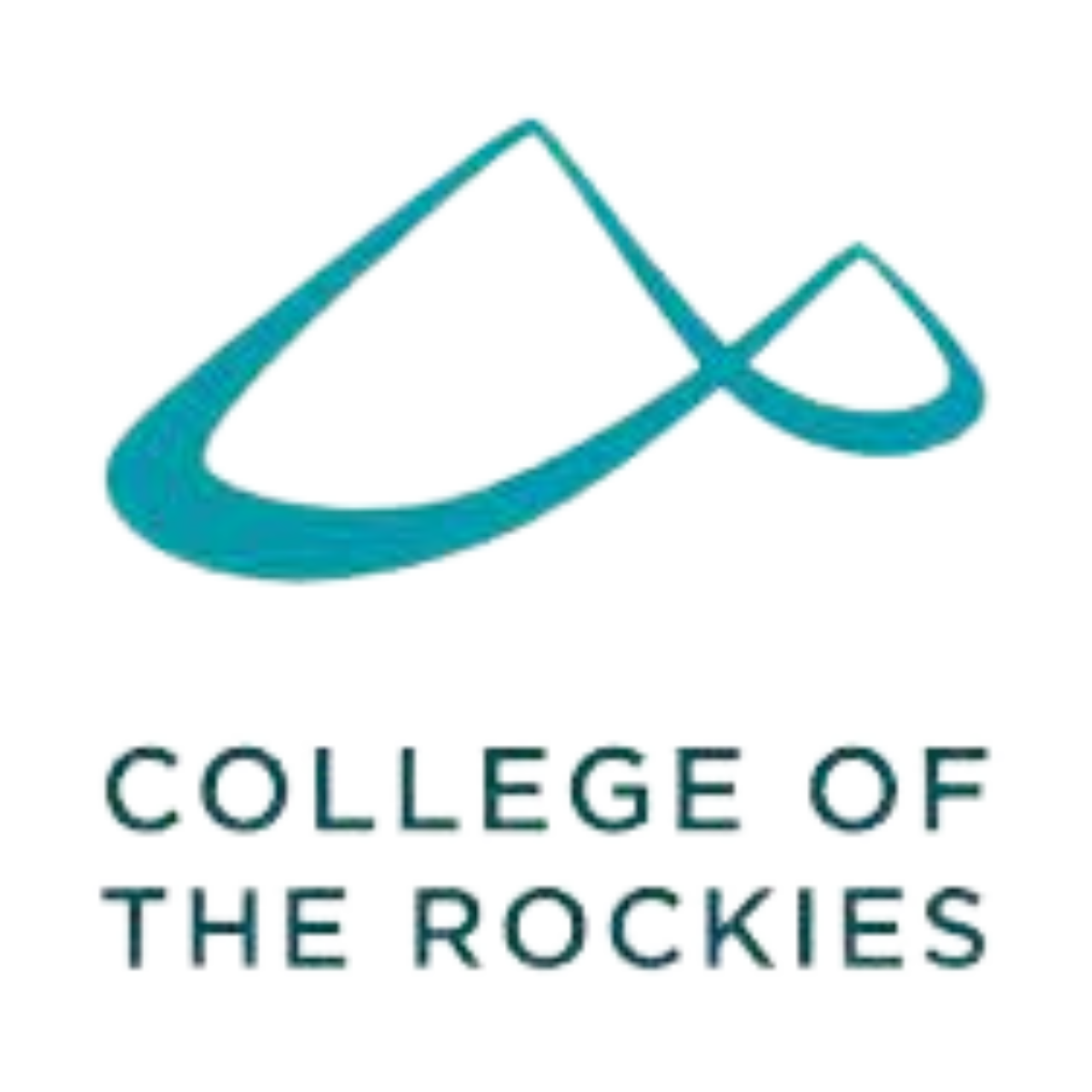 Emerged Visa Consultancy OPC